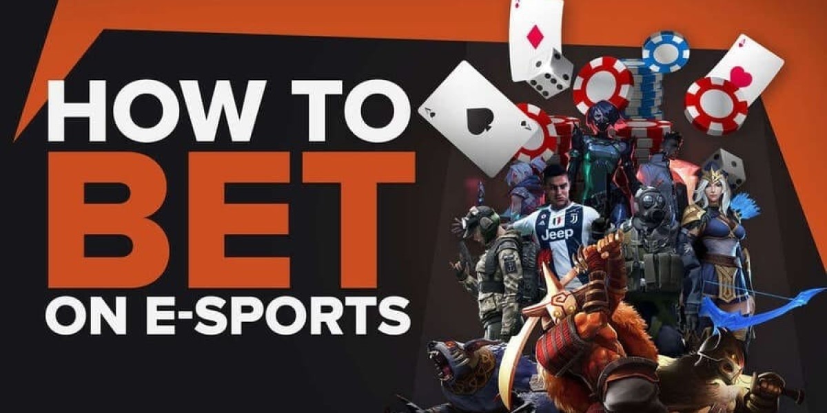 Bet on It: Where Sports and Fortune Collide