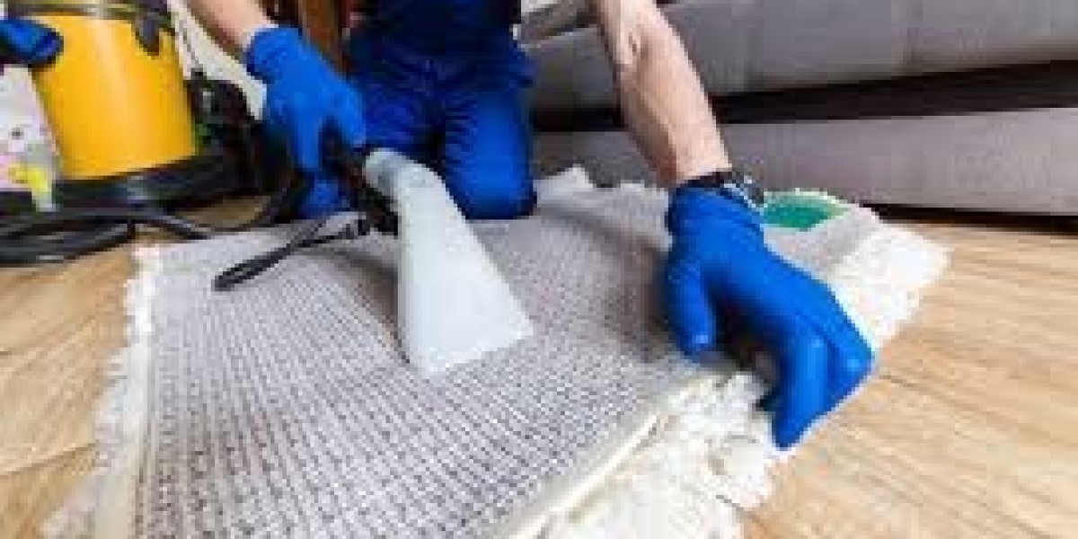 Professional Carpet Cleaning: The Foundation of a Clean Home